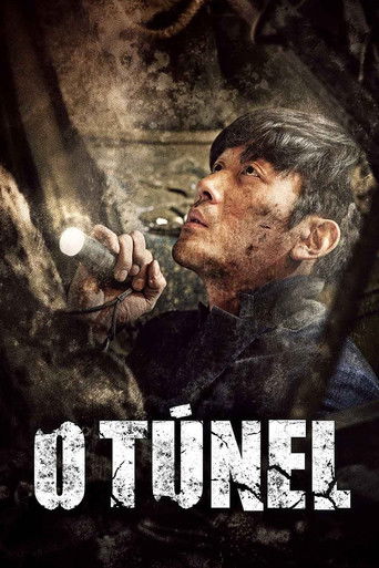 Assistir O Túnel online dublado e legendado