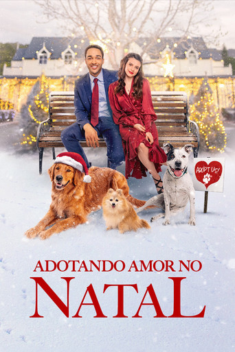 Assistir Adotando Amor no Natal online dublado e legendado