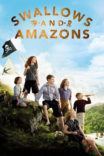 Poster de Andorinhas e Amazonas