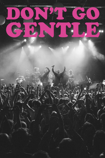Assistir Don't Go Gentle: A Film About IDLES online dublado e legendado