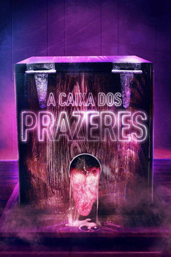 Assistir A Caixa dos Prazeres online dublado e legendado