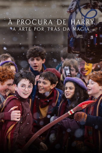 Poster de À Procura de Harry: A Arte por Trás da Magia