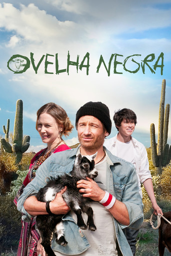 Assistir Ovelha Negra online dublado e legendado