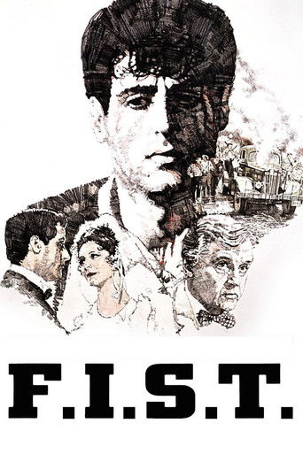 Poster de F.I.S.T.