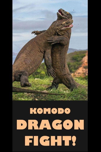 Assistir Komodo Dragon Fight! online dublado e legendado