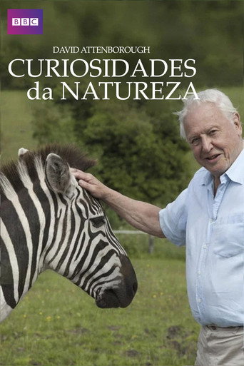 Poster de Curiosidades da Natureza com David Attenborough