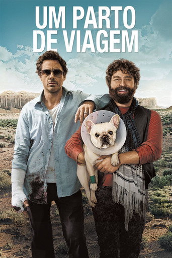 Assistir Um Parto de Viagem online dublado e legendado
