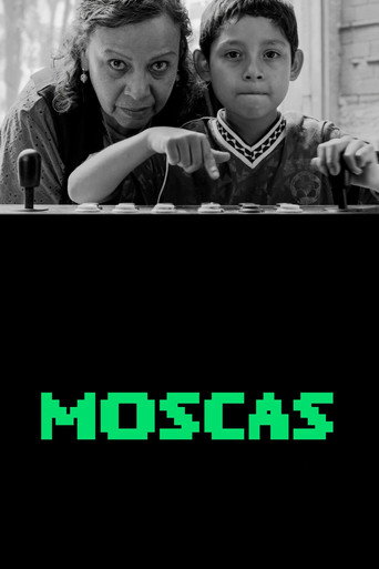 Assistir Moscas online dublado e legendado