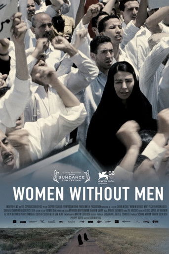 Poster de Women Without Men