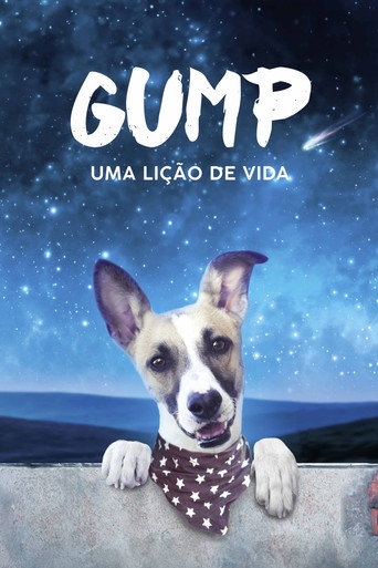Assistir Gump: Uma Lição de Vida online dublado e legendado