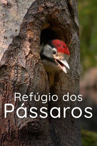 Assistir Refúgio dos Pássaros online dublado e legendado