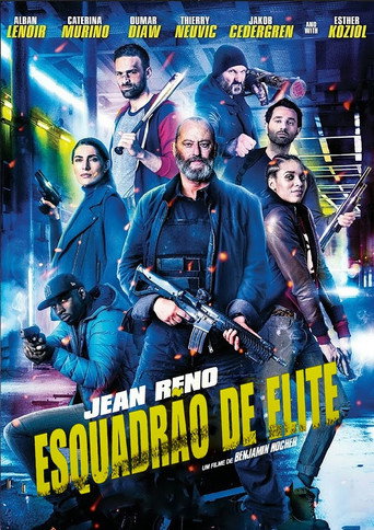 Assistir Esquadrão de Elite online dublado e legendado