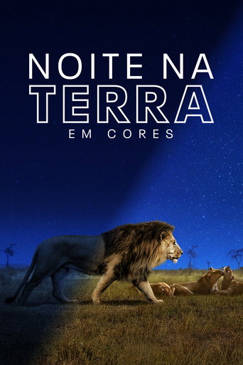 Poster de Noite na Terra em Cores