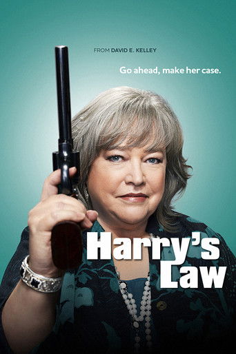 Poster de A Lei de Harry