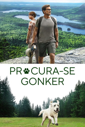 Poster de Procura-se Gonker