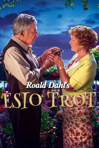 Poster de Um Amor de Estimação